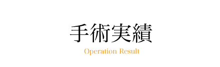 手術実績